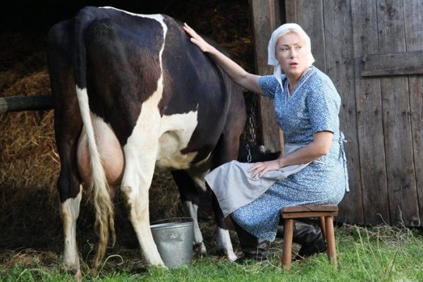 Господдержка из расчета 200 рублей на однй корову вряд ли будет способствовать развитию молочного скотоводства в регионе