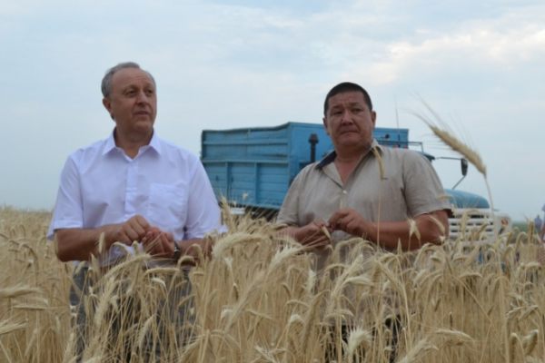 Вопрос о сборе 6 млн тонн зерна можно закрывать