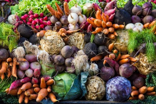 Овощей, собранных в этом году хватит, чтобы полностью закрыть потребности жителей области в овощной продукции