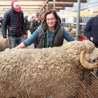 Саратовский зампред примет участие в выставке племенных овец и коз