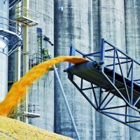Урожай-2017: элеваторов для хранения зерна в 2 раза меньше необходимого