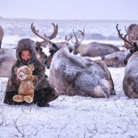 Сколько зарабатывают бюджетники в Ямало-Ненецком автономном округе
