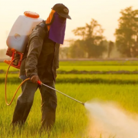 На полях Саратовской области ведется активная обработка посевов пестицидами