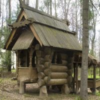 В Саратовской области культура идет лесом
