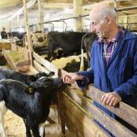 В Саратовской области прошел конкурс семейных животноводческих ферм