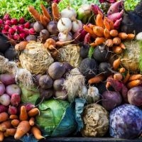 Овощей, собранный в этом году хватит, чтобы полностью закрыть потребности жителей области в овощной продукции