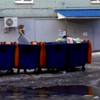 «Мехуборка-Саратов» снизила объёмы работы на треть: вывозу бытовых отходов в Саратове грозит коллапс?