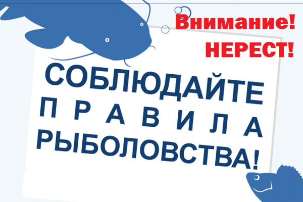 С 20 апреля на территории Саратовского водохранилища действует нерестовый запрет