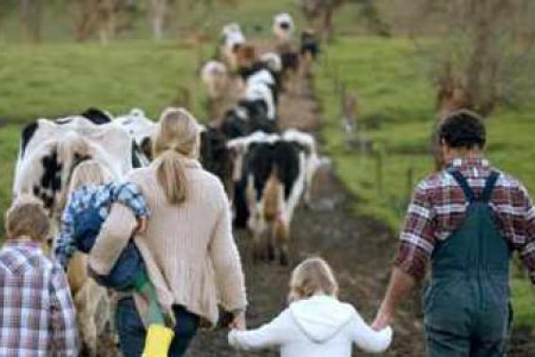 Правительство области поддержит развитие семейных животноводческих ферм