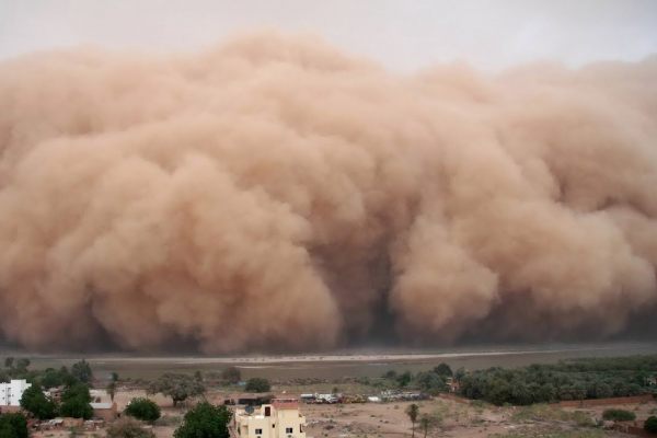 На территории области прогнозируется повышенный уровень пыли