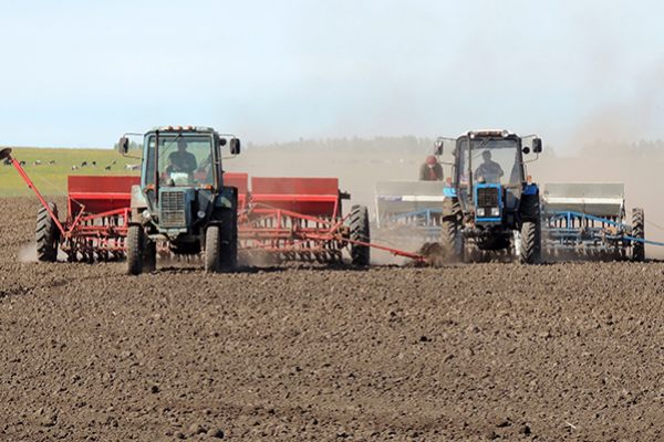 Весенне-полевые работы в Саратовской области набирают темп