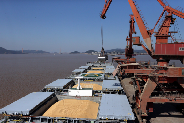 Экспорт зерна и масличных культур из России в Китай: новый рекорд