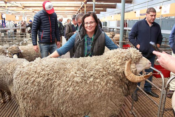 Саратовский зампред примет участие в выставке племенных овец и коз