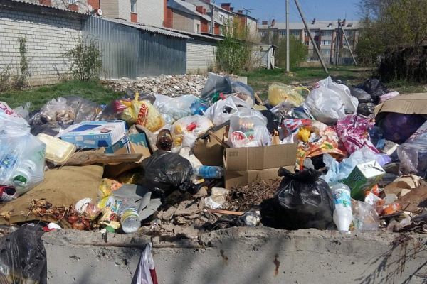 Раздельный сбор мусора в Саратове не приживается