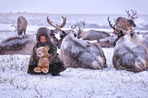 Сколько зарабатывают бюджетники в Ямало-Ненецком автономном округе