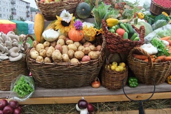 Овощи - морковь, картофель, свекла по доступным ценам в Саратовской области есть