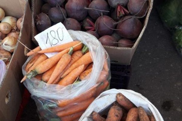 Сколько моркови и свеклы произвели в области в 2020 году 
