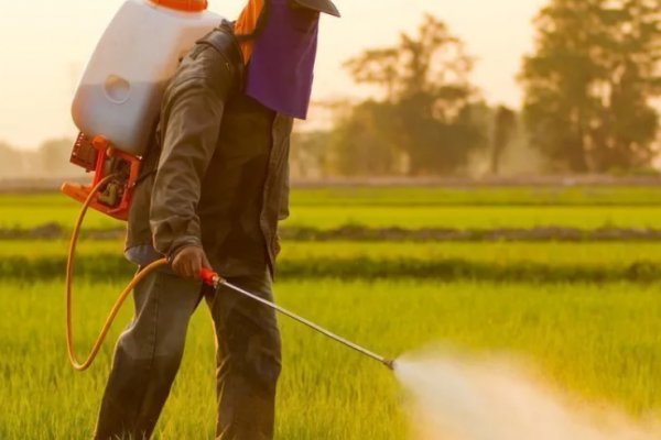 На полях Саратовской области ведется активная обработка посевов пестицидами