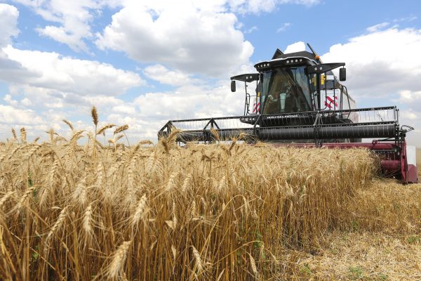 Уборка зерновых завершается, но обещанный Радаевым рекордный урожай еще не собран
