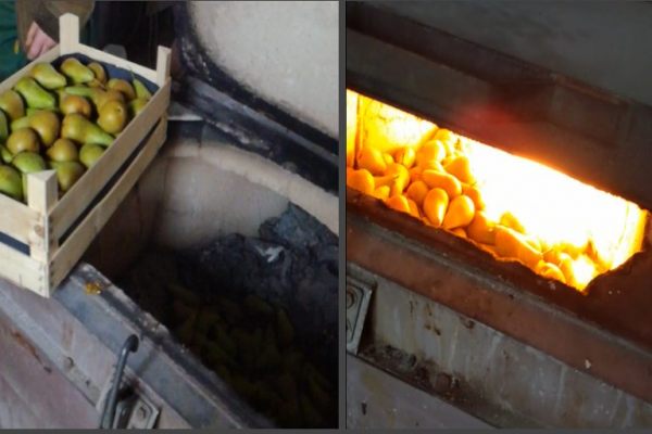 В Саратове сожгли 12 килограмм груши