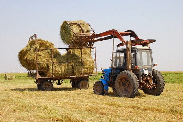 В хозяйствах Саратовской области продолжается заготовка кормов