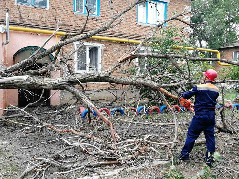 Ураган повалил 132 дерева